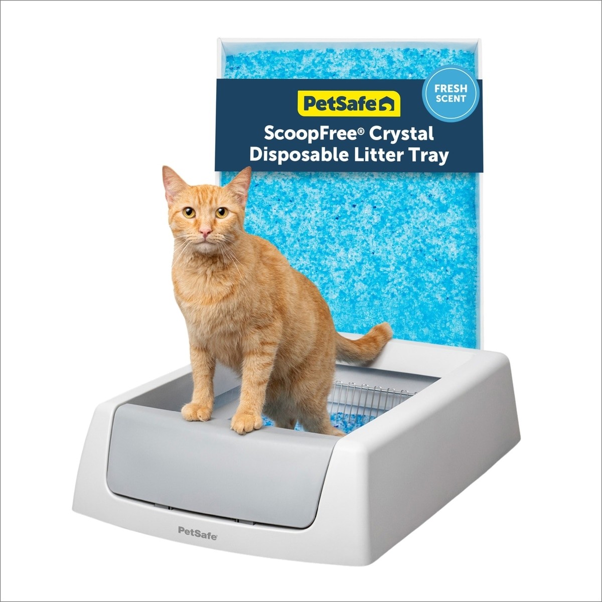 PetSafe ScoopFree Crystal Classic Self-Cleaning Cat Litter B...