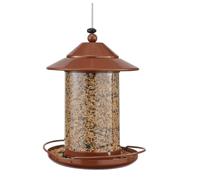 Bird Feeder Squirrel Proof Clear Window Lantern Wild Seed —...