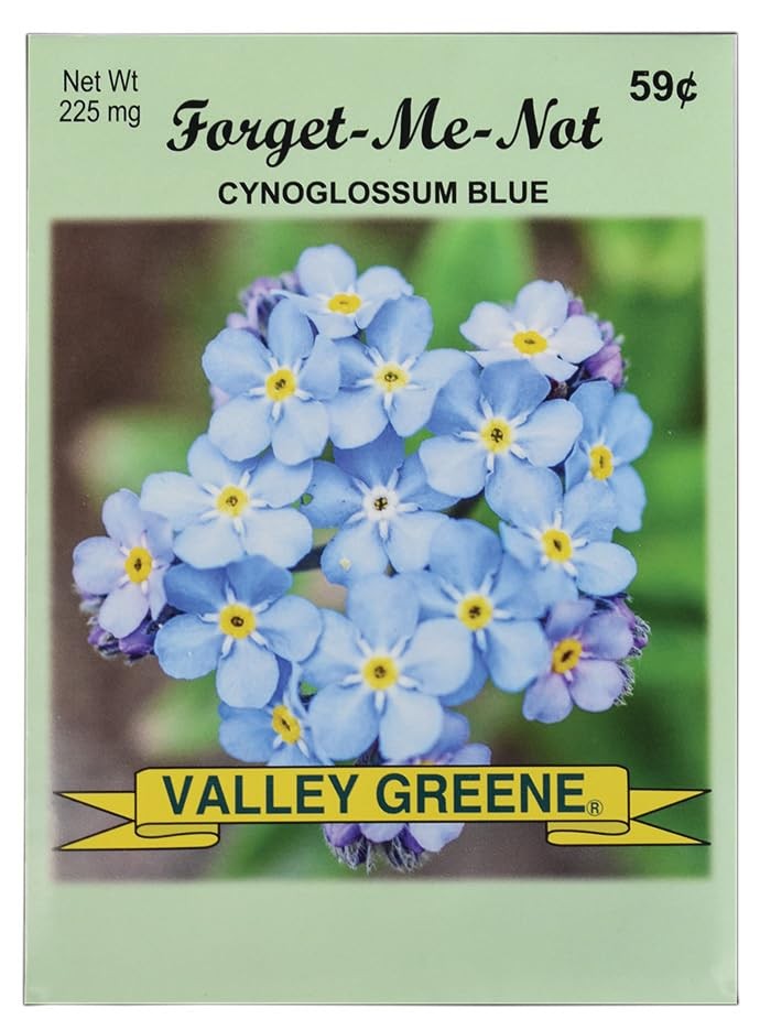 Forget Me Not Flower Seed Packets 100 Count