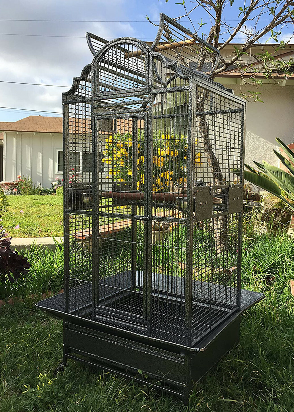 Wrought Iron Open Dome Play-Top Parrot Macaw Cockatoo Bird C...