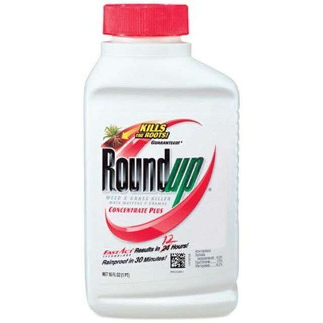Roundup Weed & Grass Killer Concentrate Plus - 16 Ounce