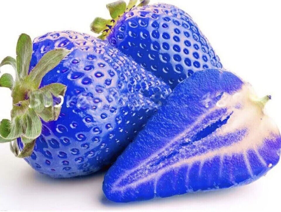 Blue Strawberry Organic Fruit Seed