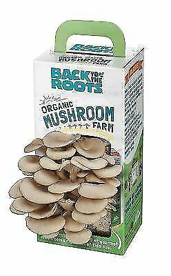 Back to the Roots Organic Mushroom Farm Grow Kit (NEW)