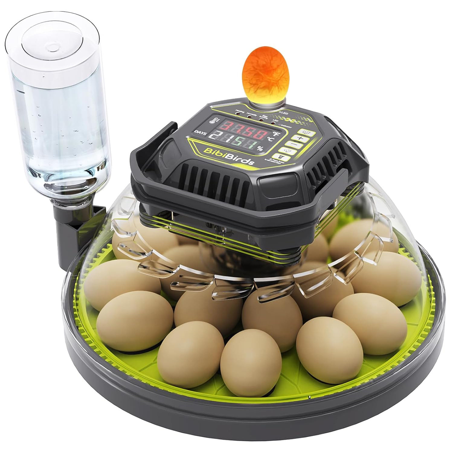 Automatic Egg Incubator for Quail, Chicken, Duck, Goose - 18...