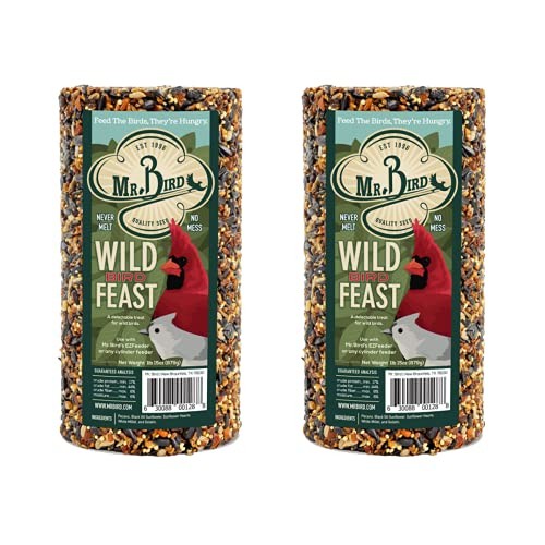 Mr. Bird Wild Bird Feast Cylinder 28 Oz