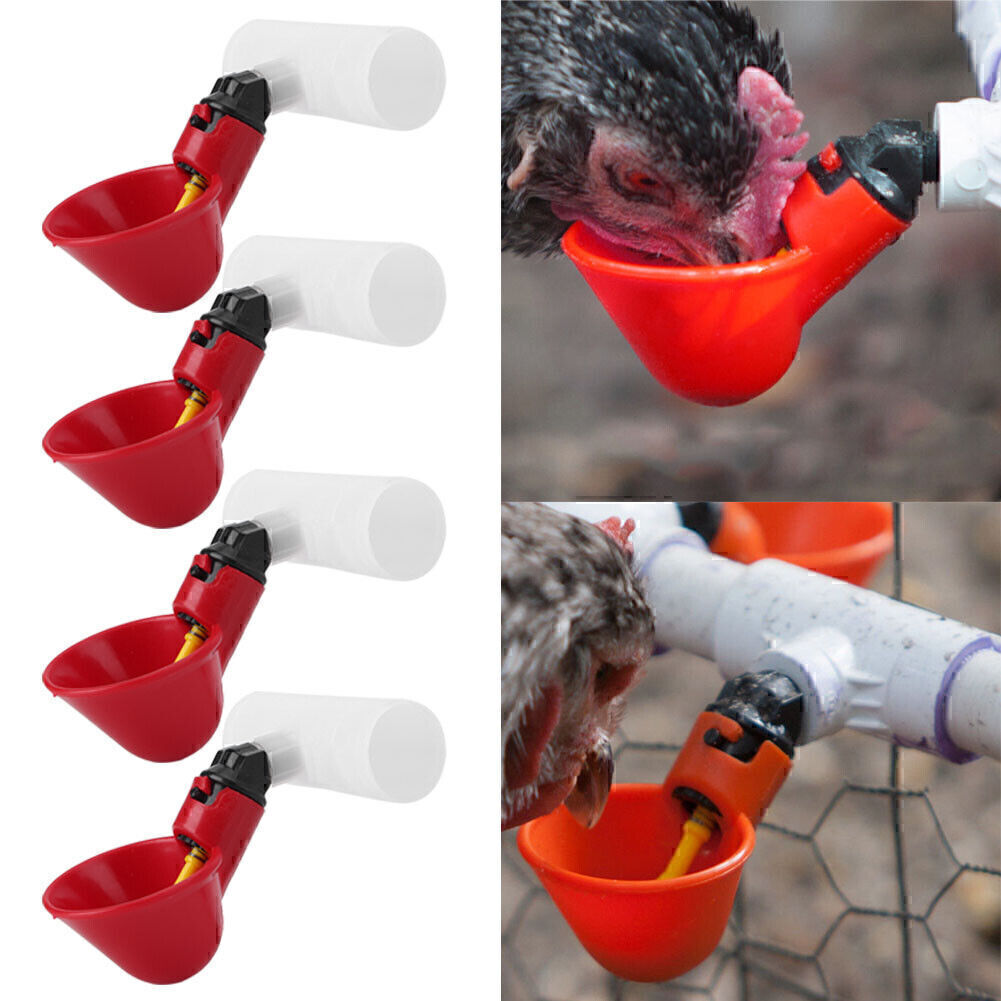 Poultry Water Drinking Cups 4-Pack With Chicken Hen Automati...