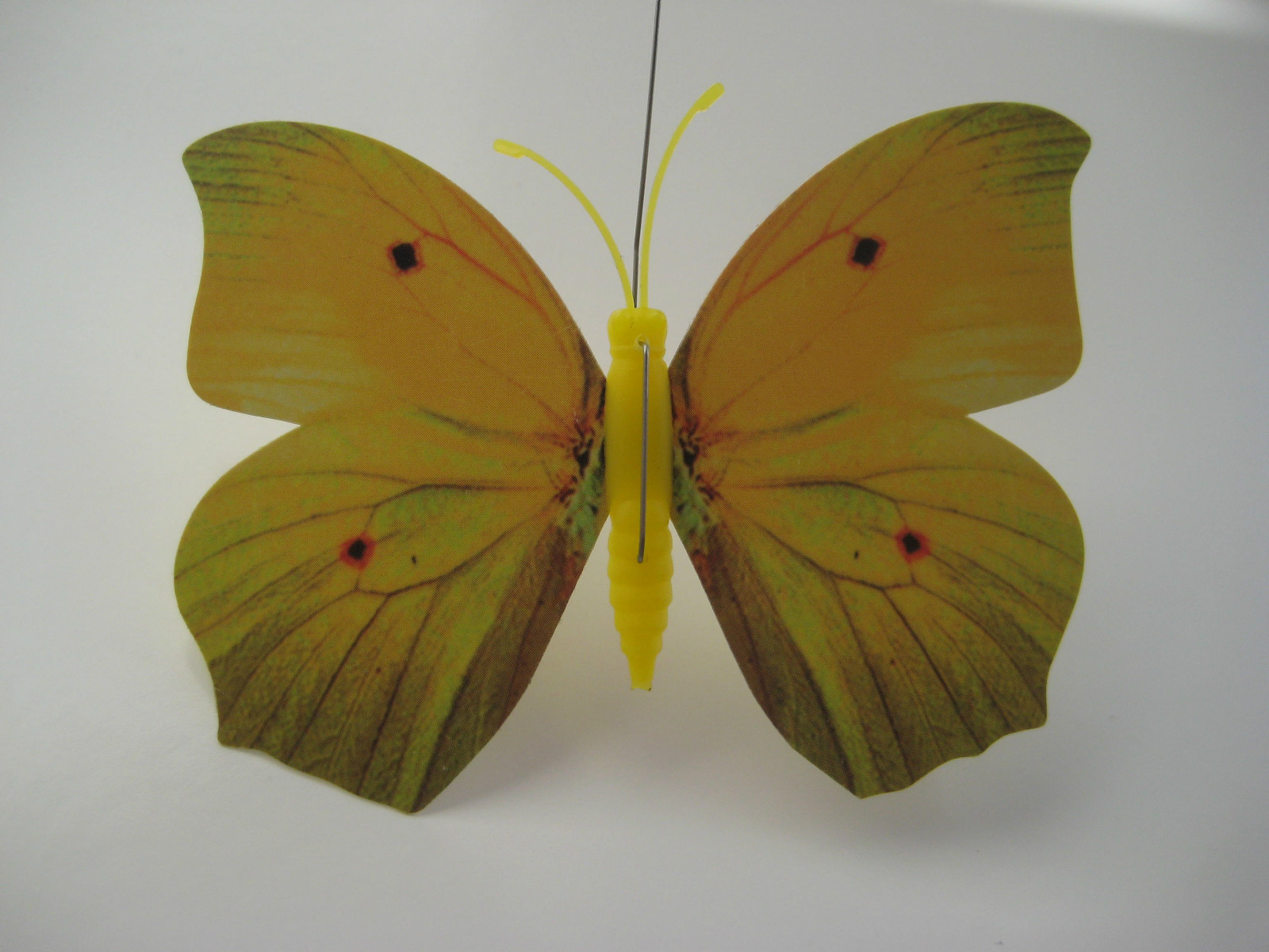 Solar-Powered Butterfly Dragonfly Hummingbird Garden Fly