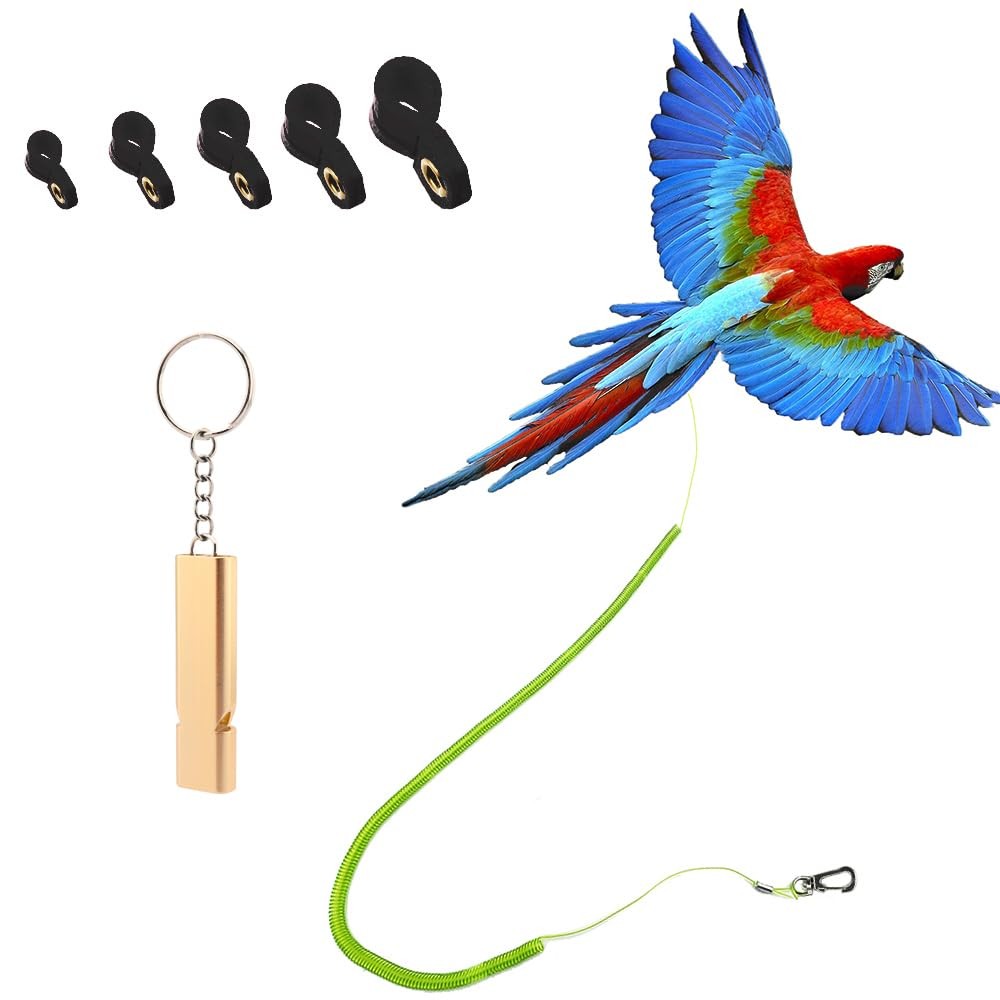 Parrot Bird Harness & Leash, Anti-Bite Outdoor Flying Traini...