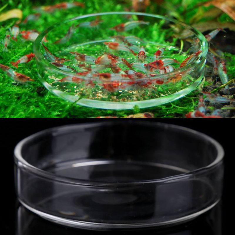 Clear Acrylic Fish Feeding Tray Container