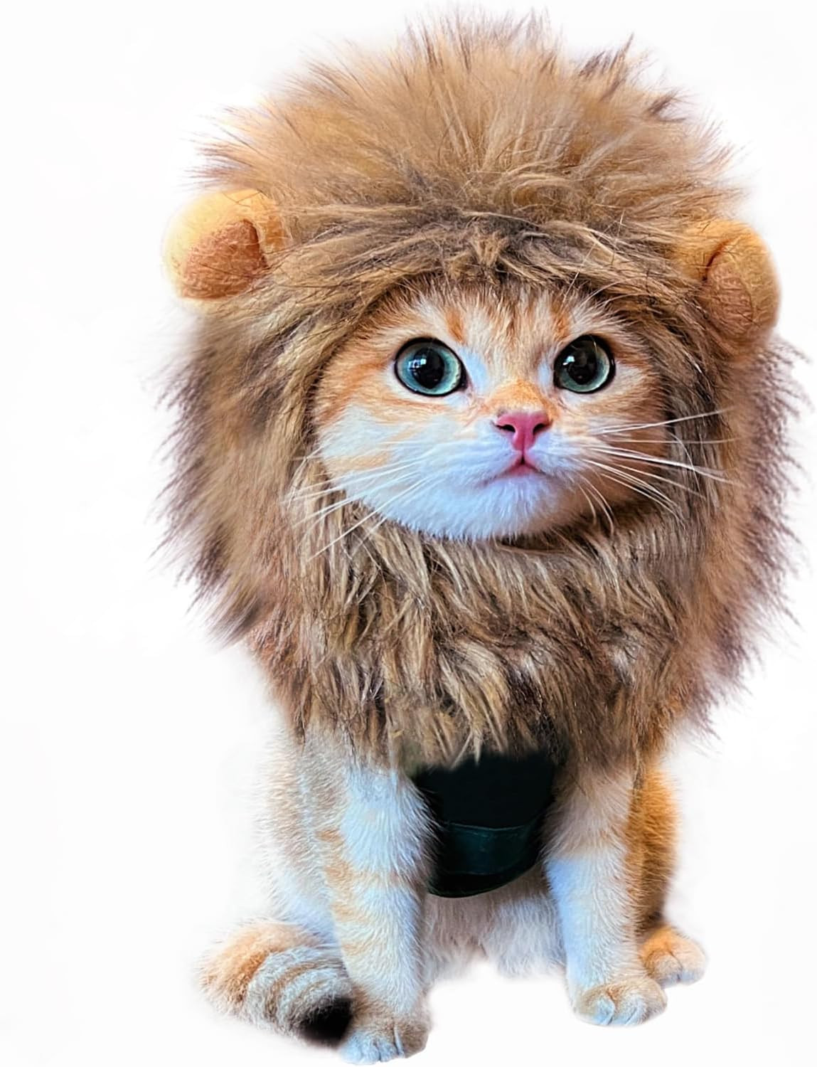 Lion Mane Cat Costume - Adjustable, Washable, New