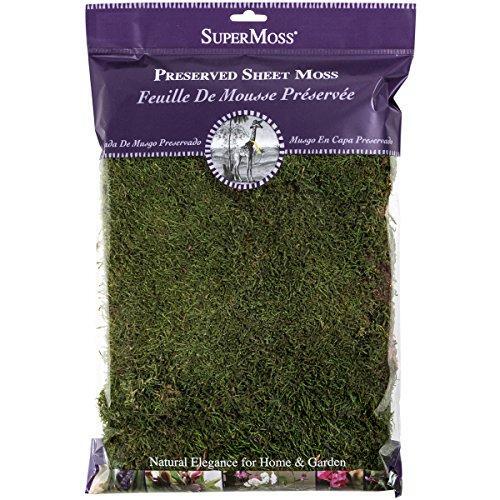 Supermoss (21512) Preserved Sheet Moss, Fresh Green, 8Oz (20...