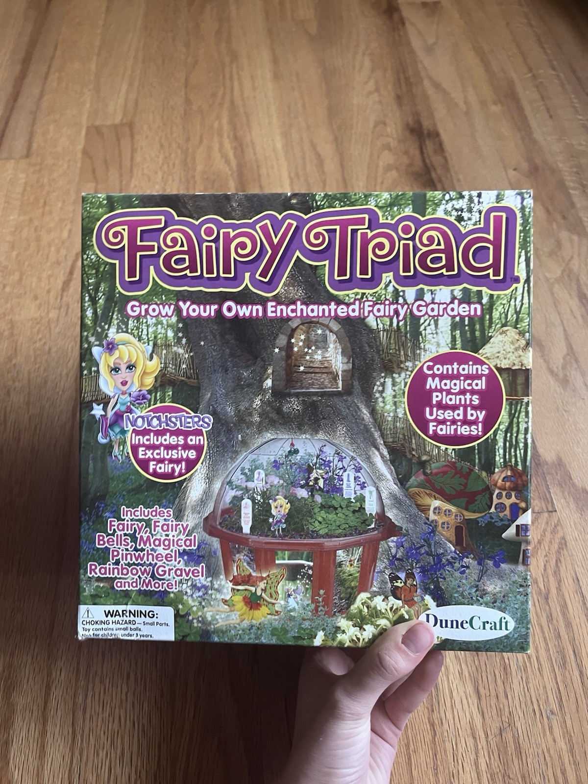Dune Craft Fairy Garden Kit