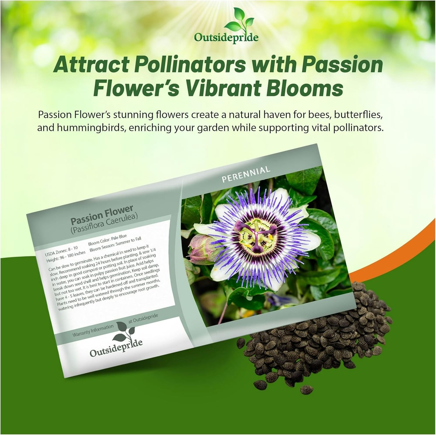 Passion Flower Seeds - Passiflora Caerulea - 100 Seeds