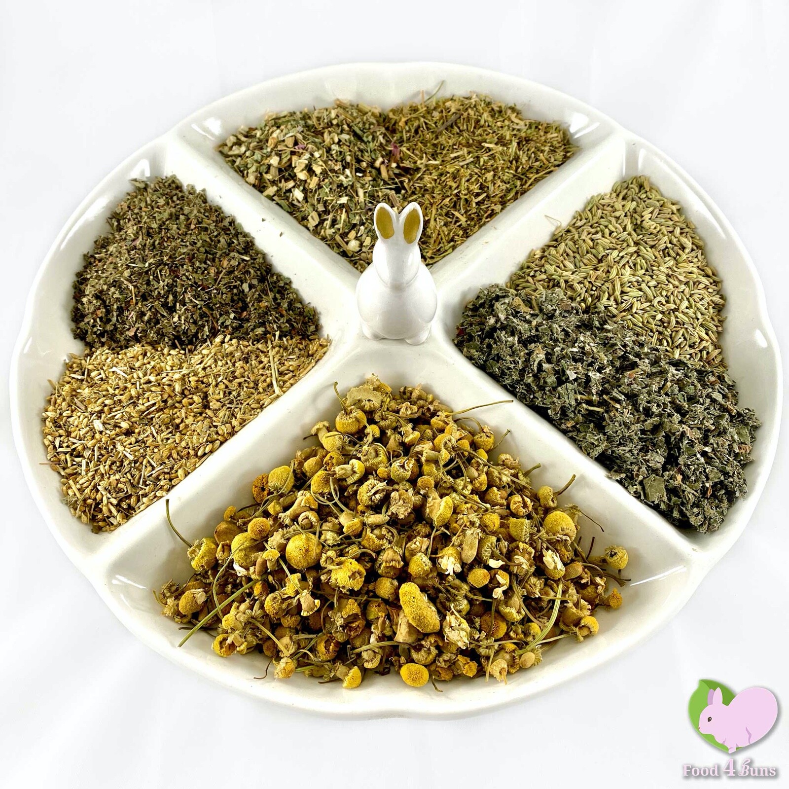 Immune Kicker Mix for Bunny, Guinea Pig, Chinchilla, Hamster...