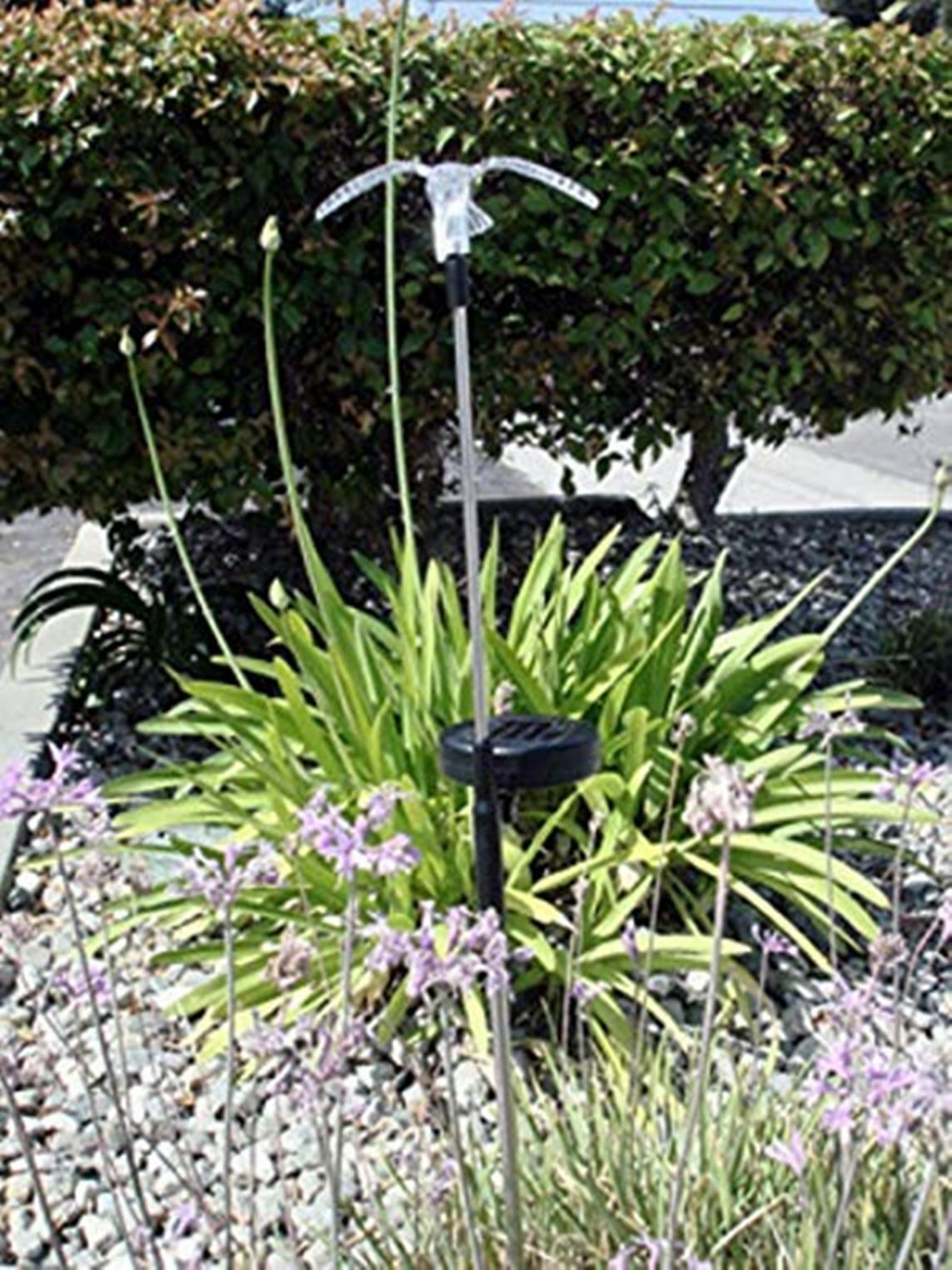 Hummingbird Solar Garden Patio Stake Light Set