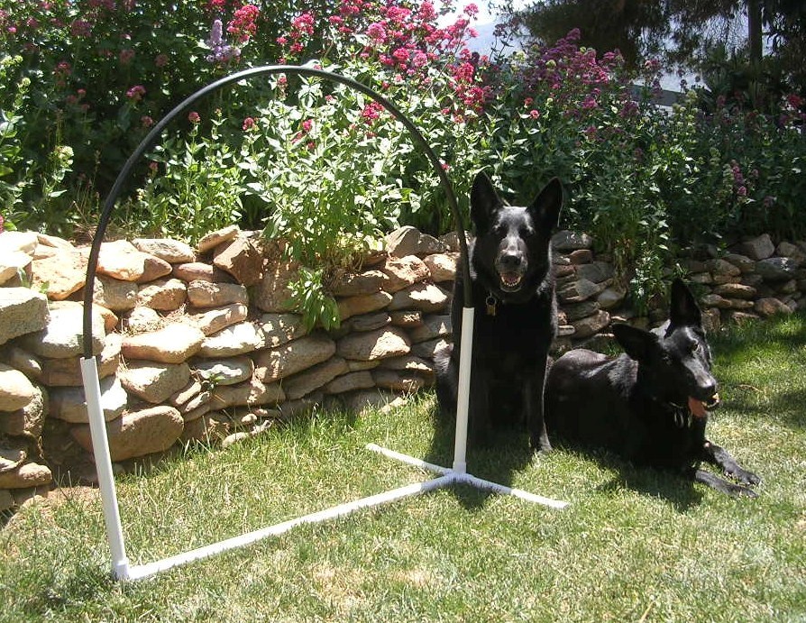 Dog Agility Arched Hoop Hoops NADAC Hoopers