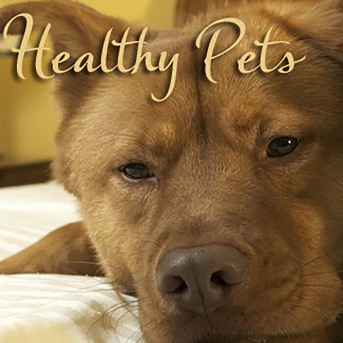 Pure Organic EMU Oil for Pet Coat & Joint Care - Dog, Cat, H...