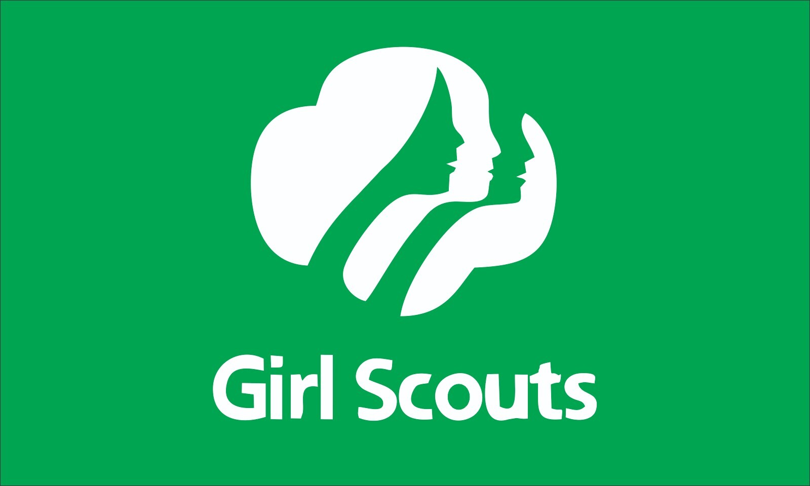 Scouts Girl Green Poly Flag Banner