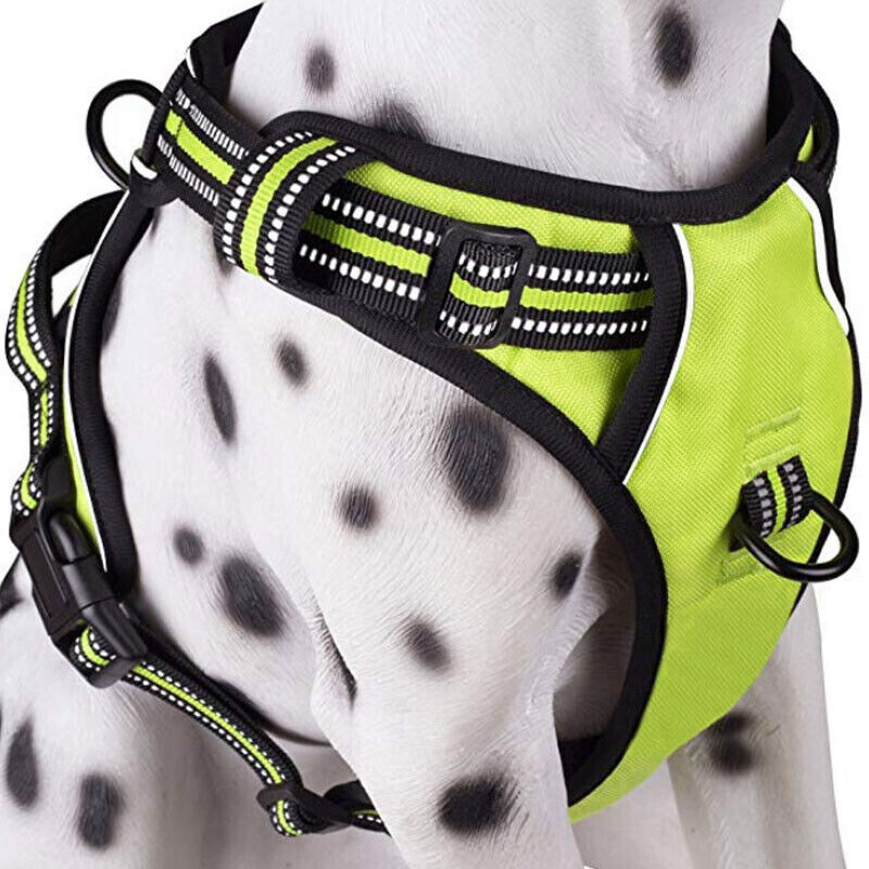 Pet Control Harness for Large Dogs XL & XXL Soft Mesh Walk C...