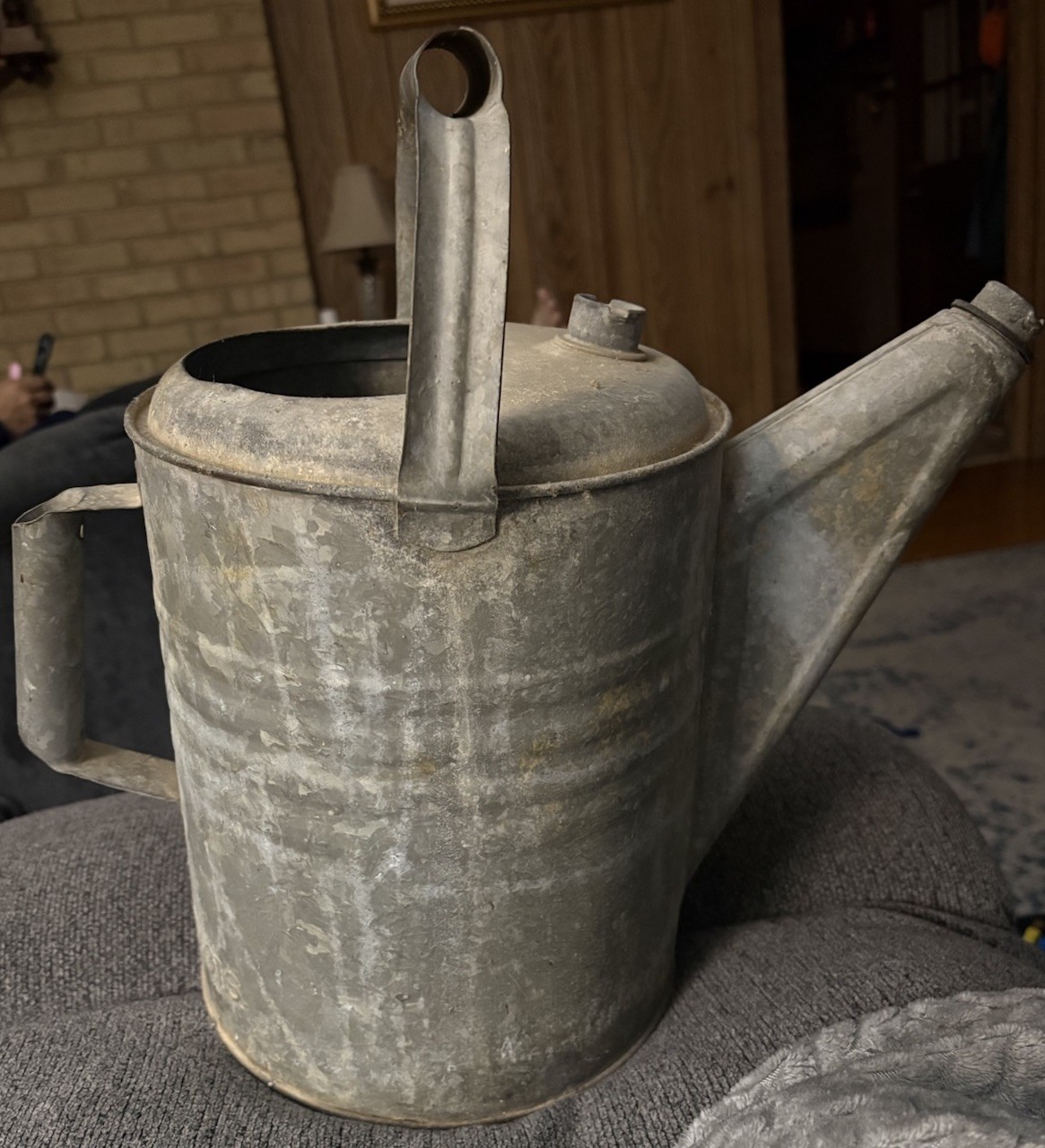 Vintage Galvanized Watering Can - 10 Quart Capacity