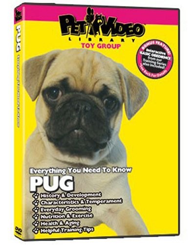 Pug Training DVD: Everything You Need to Know - NTSC Format