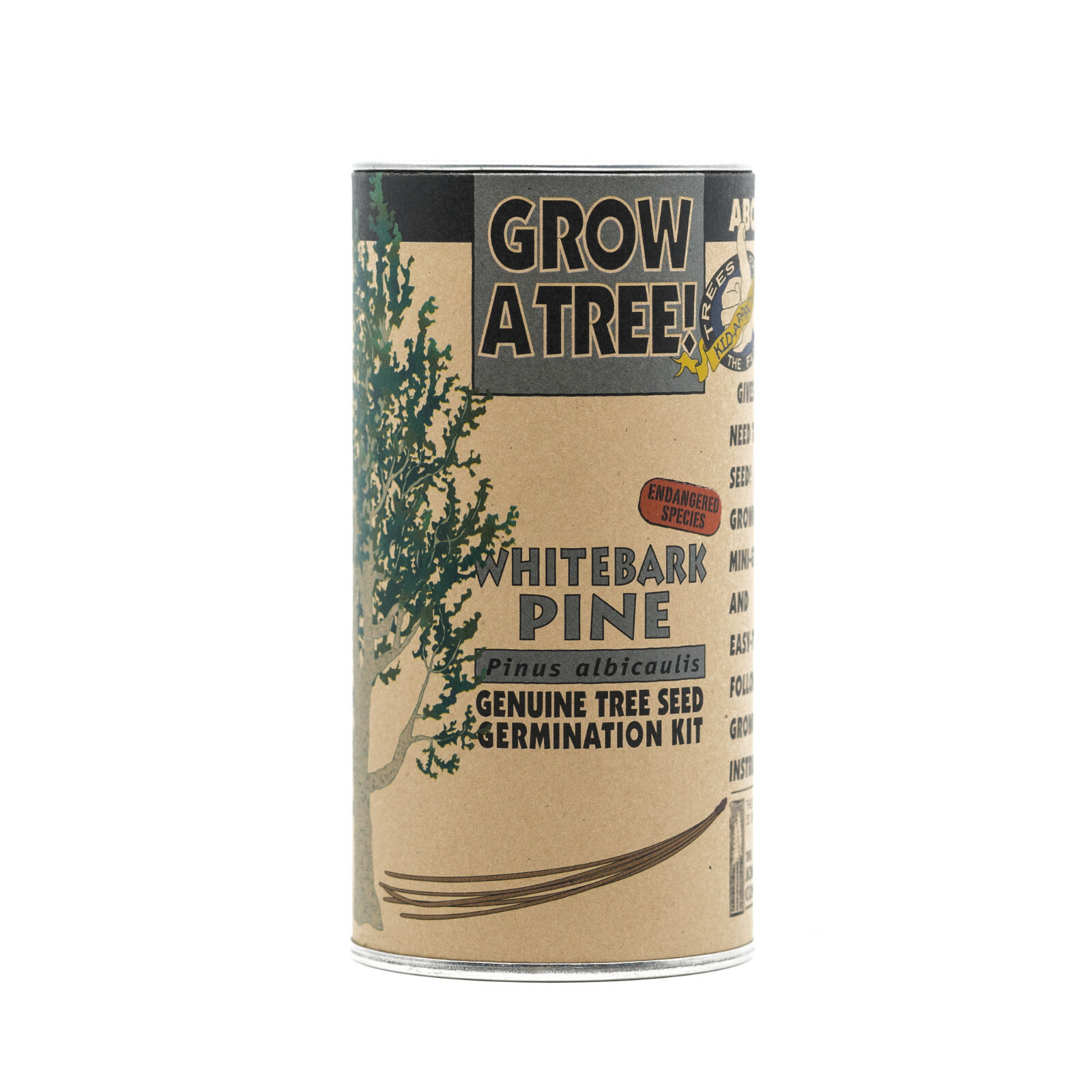 Whitebark Pine Tree Seed Grow Kit | The Jonsteen Company
