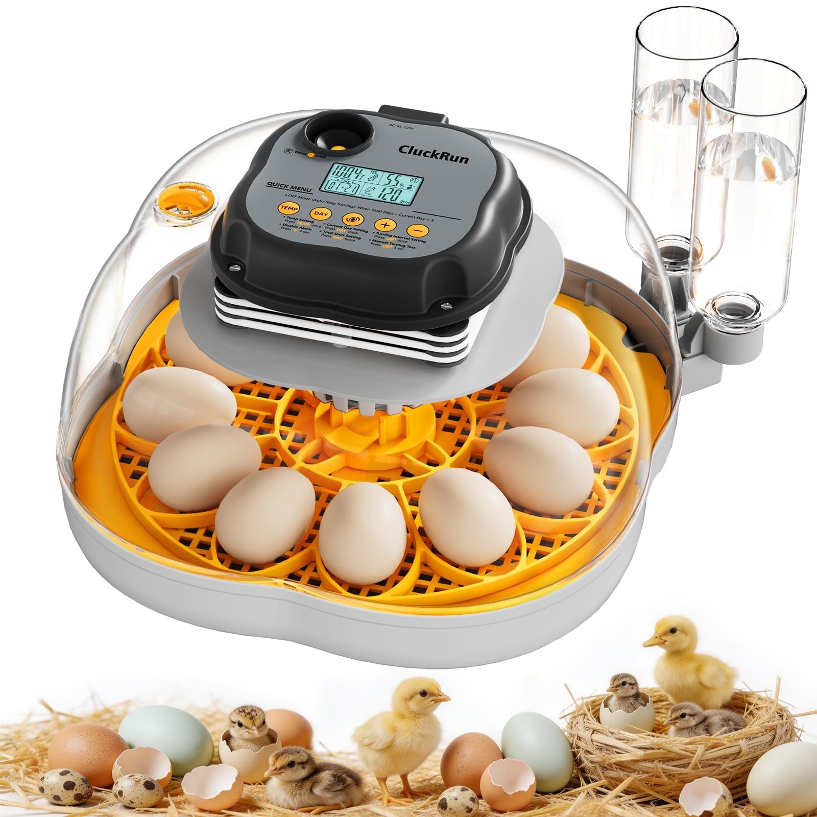 Automatic Chicken & Quail Egg Incubator - 12 Eggs, Auto Turn...