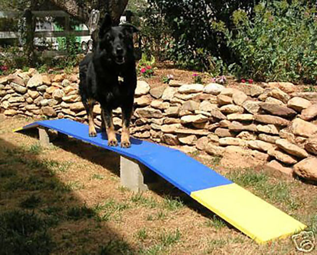 Dog Agility Mini Puppy Dog Walker