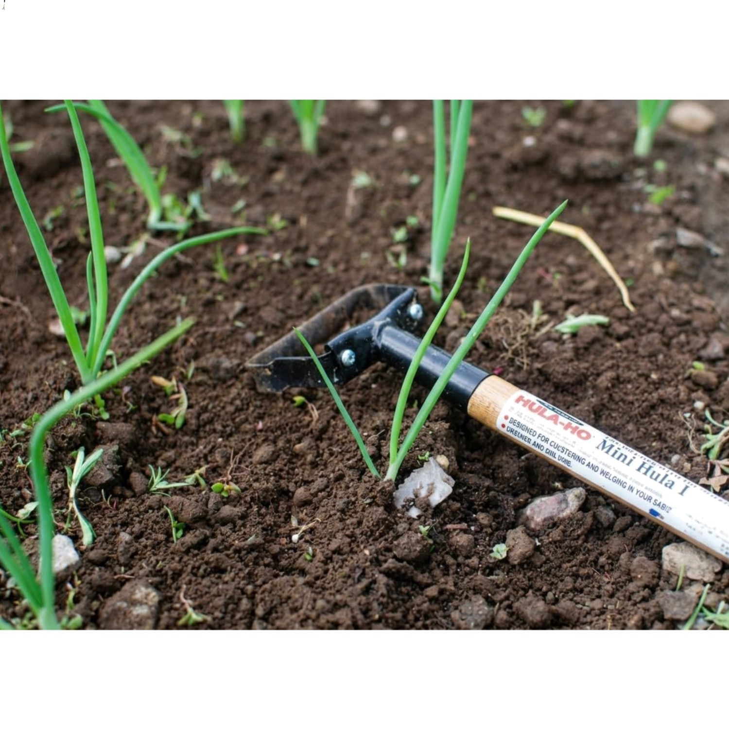 Hula Hoe Hand Weeder – 16 Inch Oscillating Stirrup Garden To...