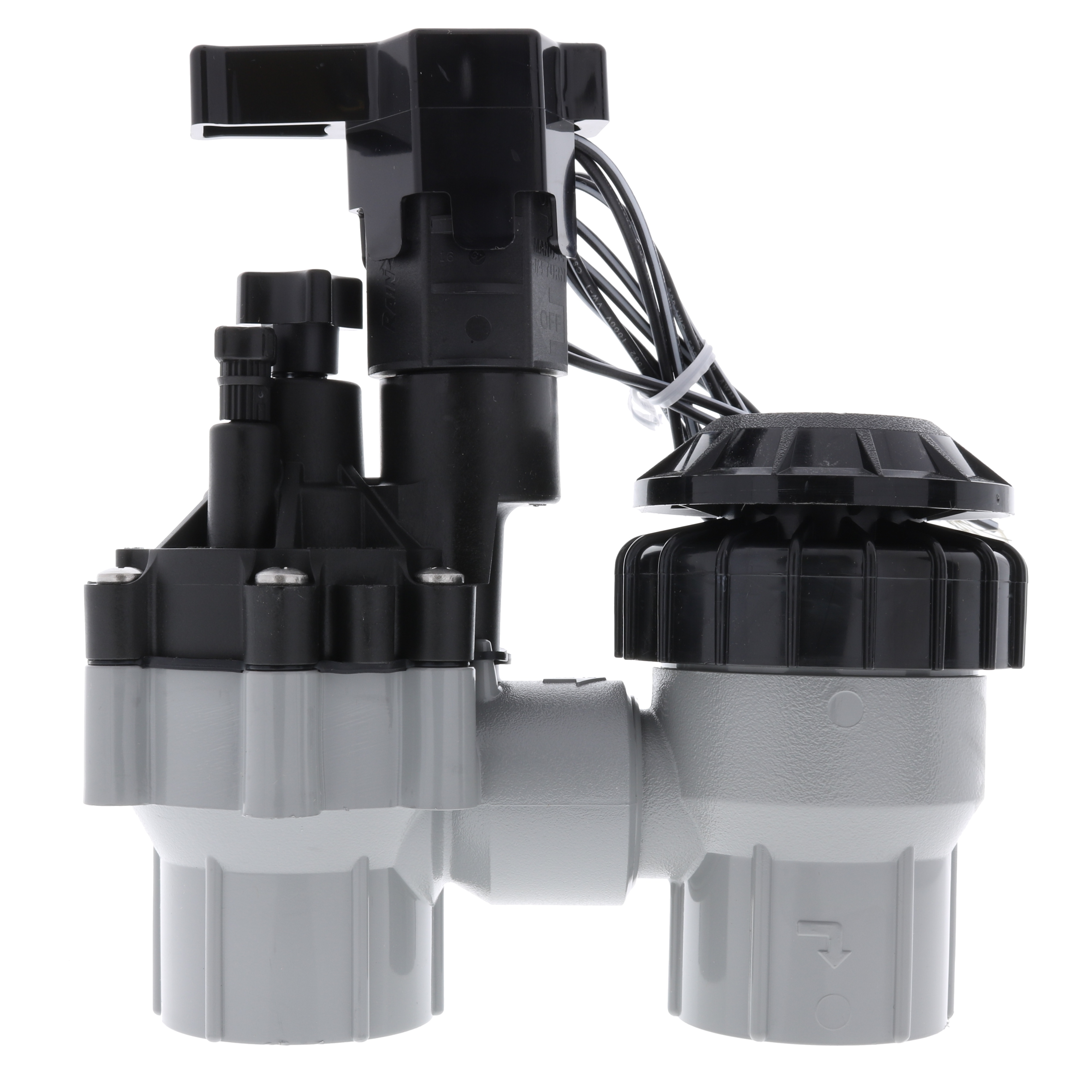 Rain Bird Residential Anti-Siphon Valve with Flow Control