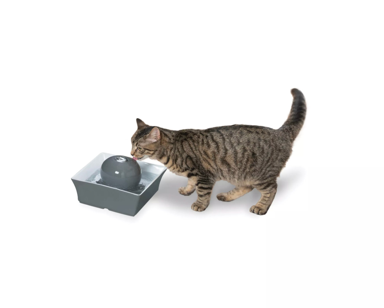 PetSafe Drinkwell Seascape Ceramic Pet Fountain 70oz 2L