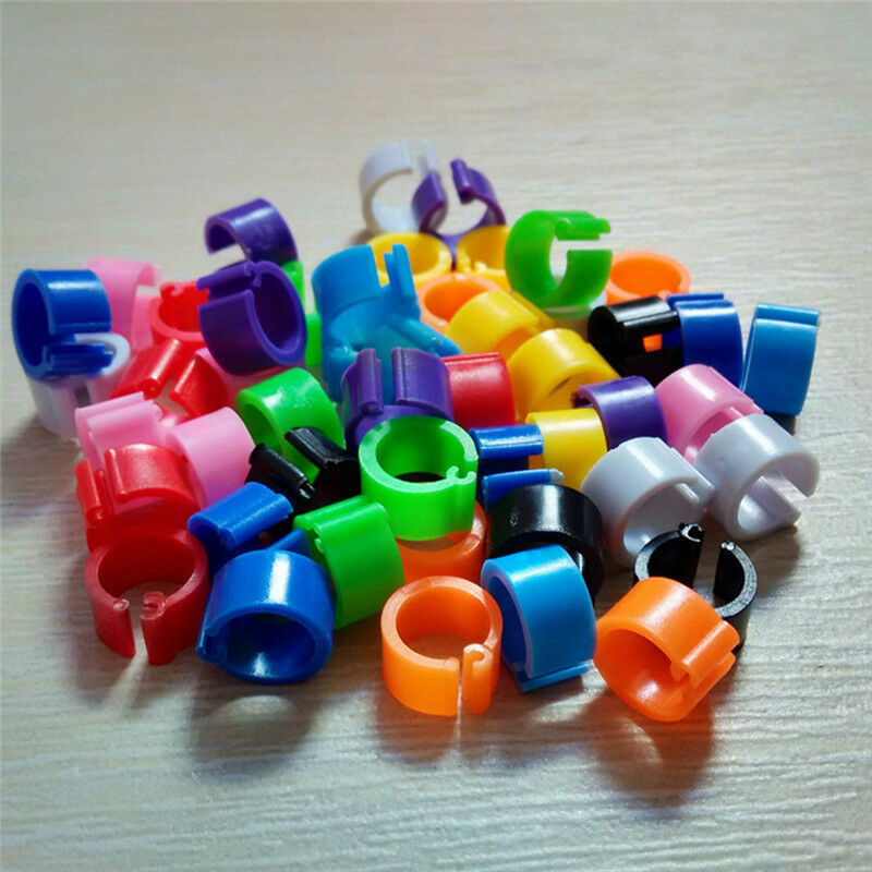Bird Rings 8mm Leg Bands Clip for Pigeon Dove Chicks Duck Ba...