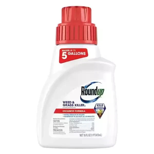 Roundup Weed/Grass Killer Concentrate - 16 Fl oz