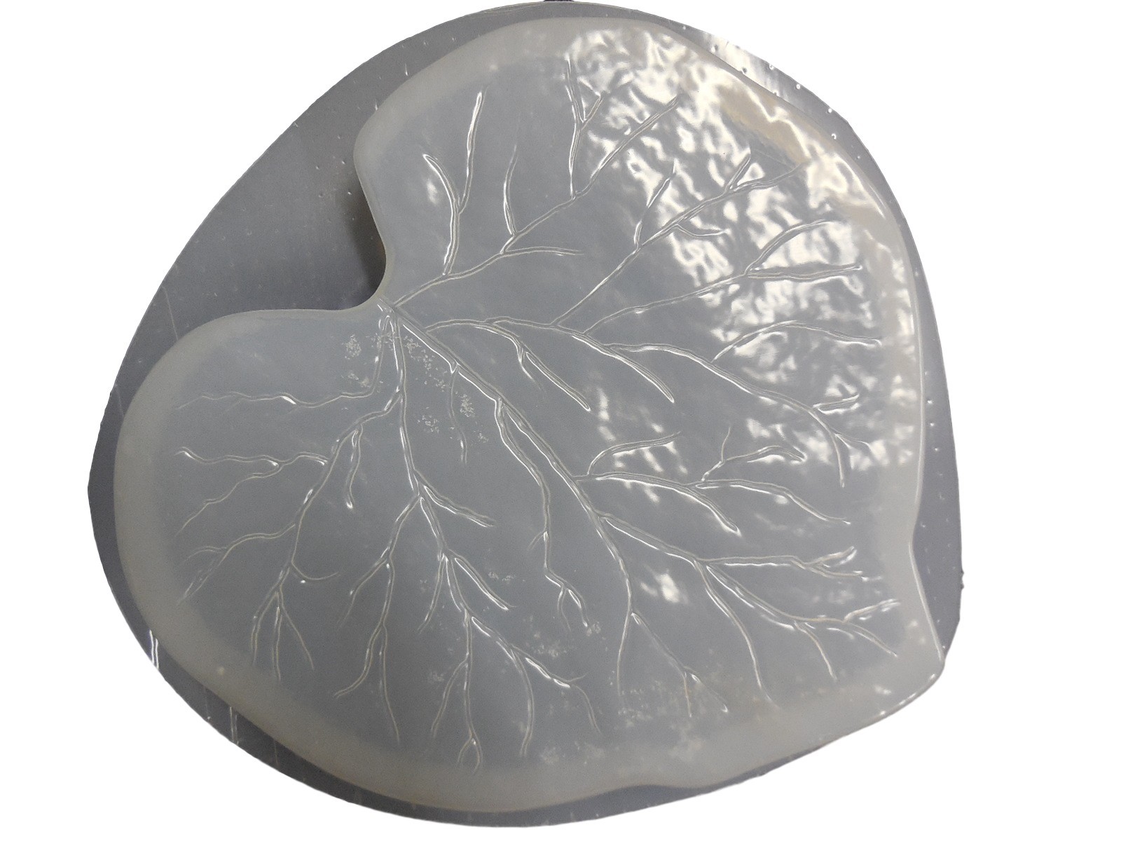 Rhubarb Leaf Concrete Stepping Stone (15" x Weight: 5 lbs)