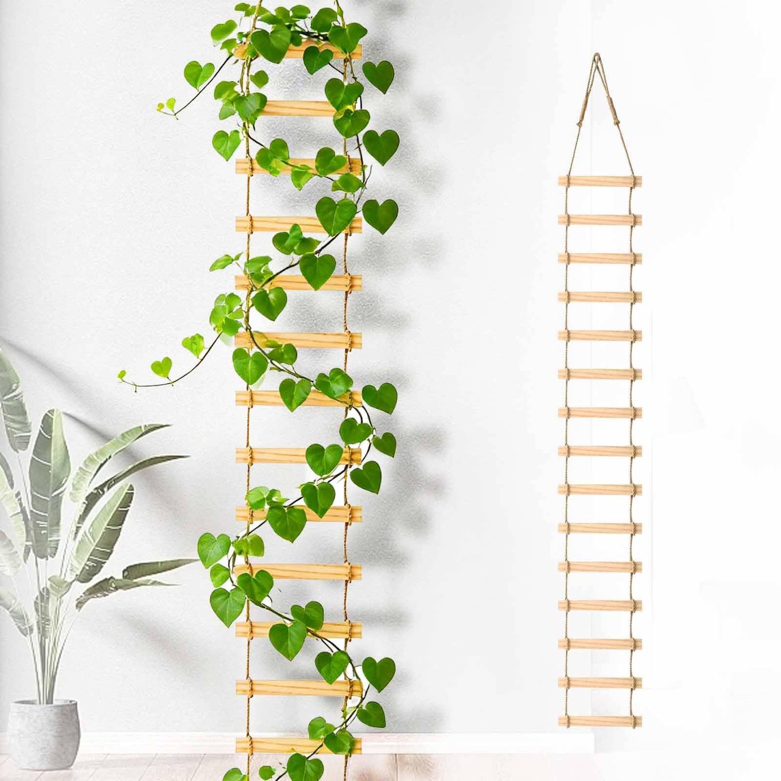 Wooden Climbing Plant Trellis - Indoor/Outdoor Support - 6 F...