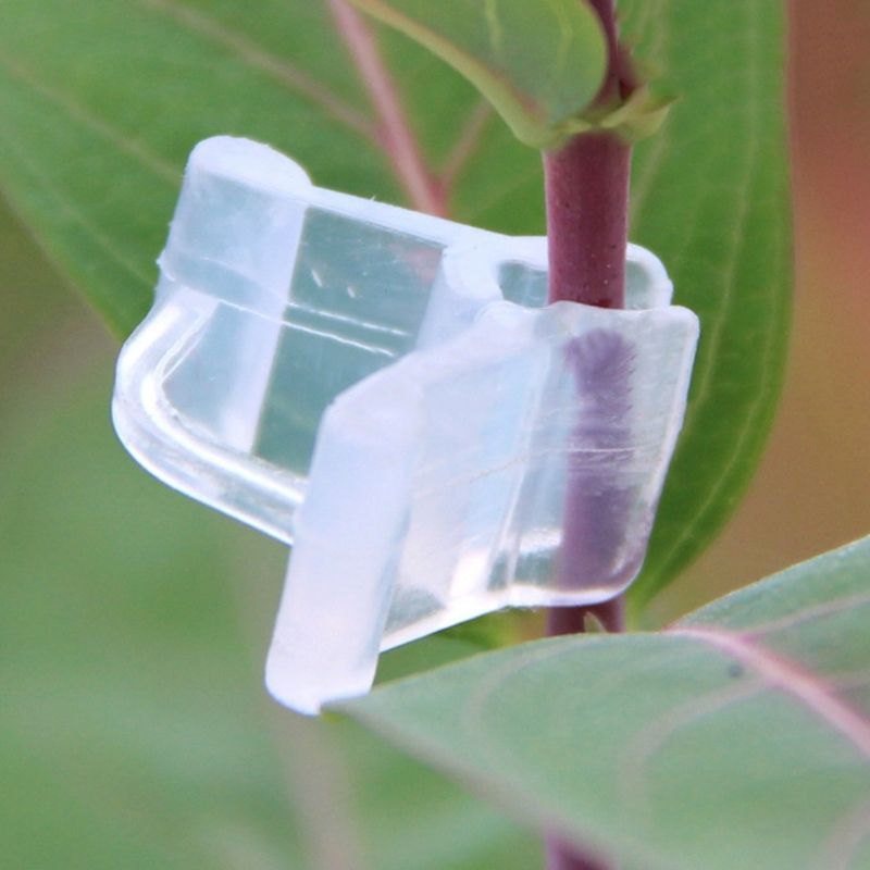 Gardening Grafting Clips for Vegetables, Flowers, Bushes & P...