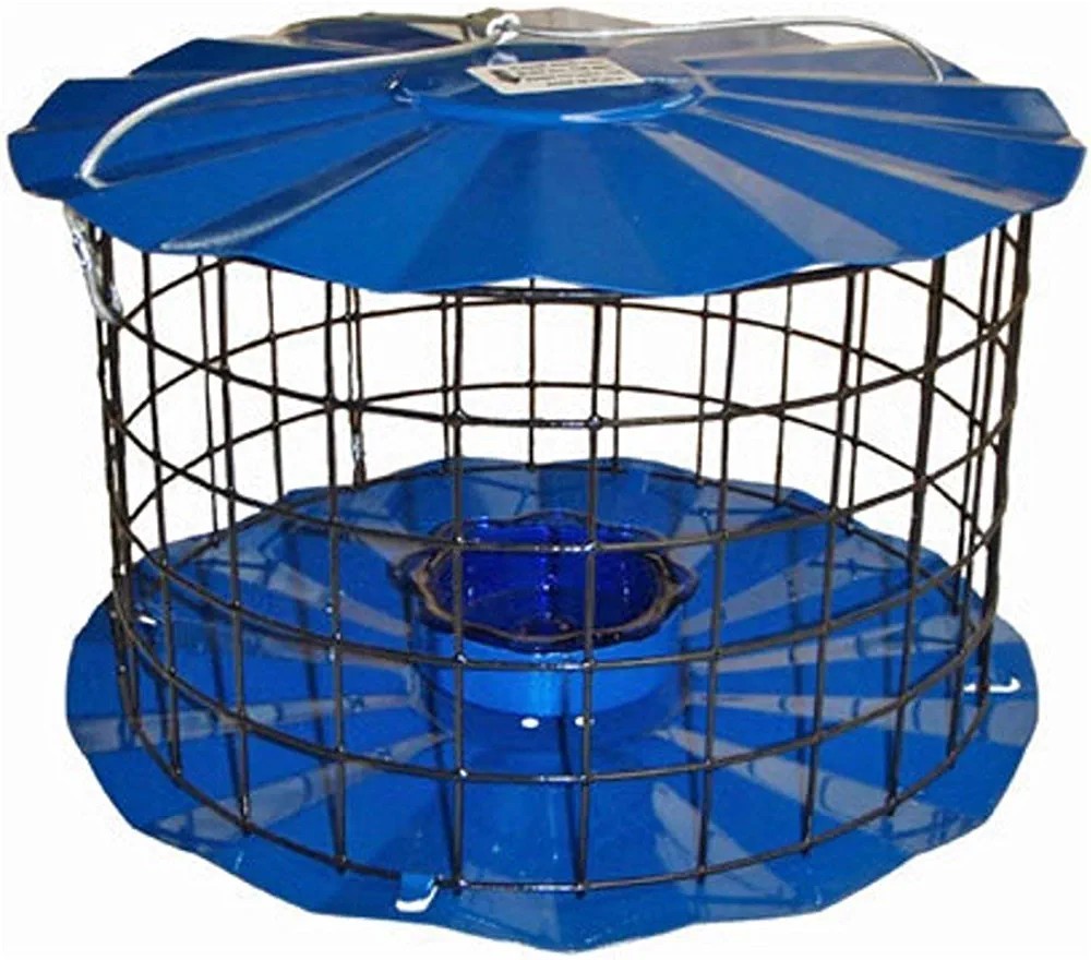 Erva Starling-Proof Barrier Guard Bluebird Feeder With Glass...