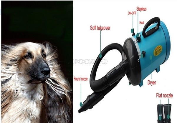 Zebra Pet Hair Dryer | 2800W | Dual Nozzle | 220V