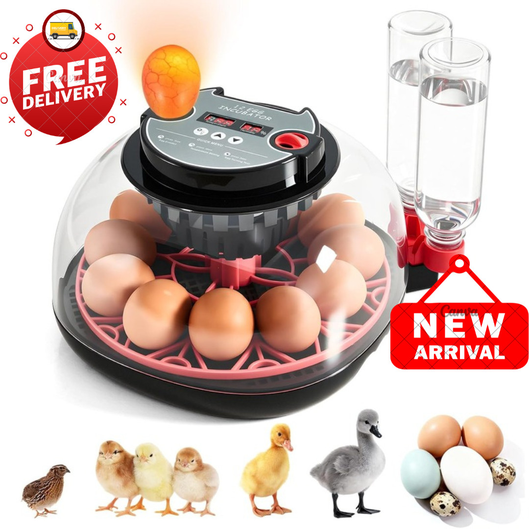Egg Incubator with Automatic Turning, 12 Egg Capacity