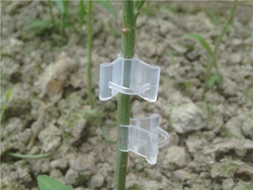 Gardening Grafting Clips for Vegetables, Flowers, Bushes & P...