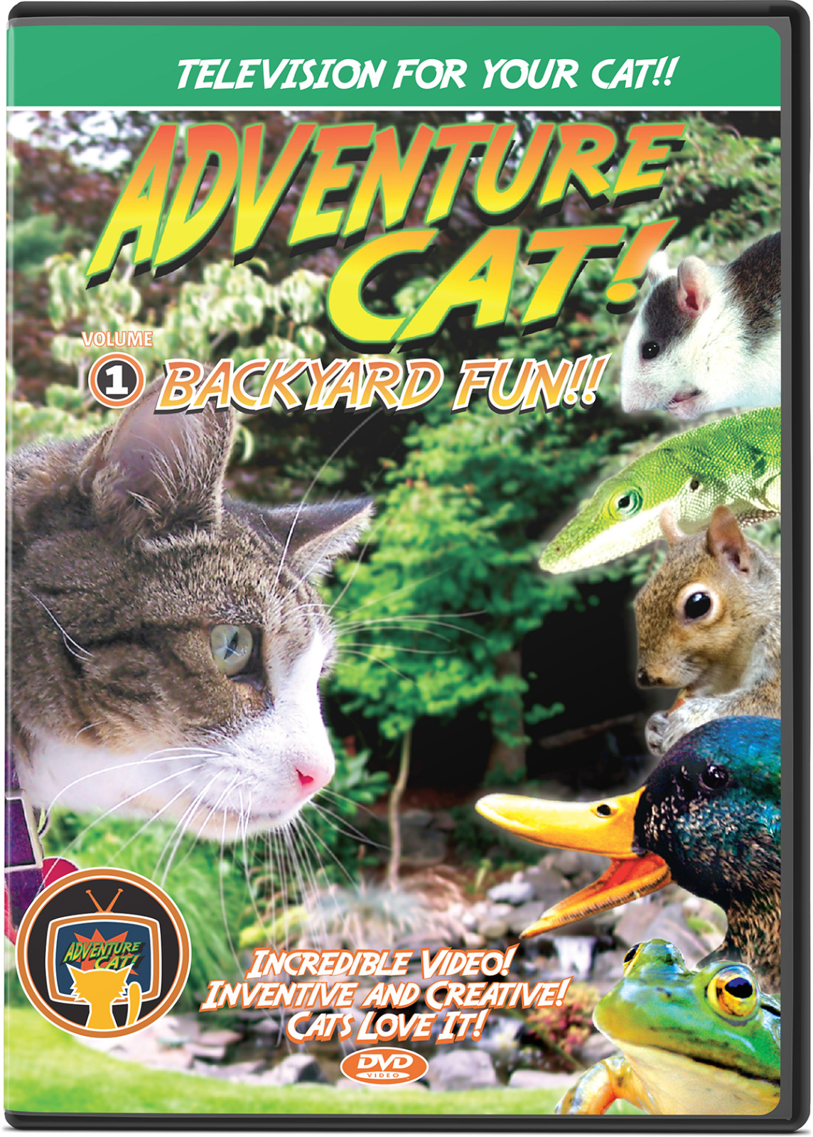 Adventure Cat DVD Volume 1: Backyard Fun! - TV to Entertain...