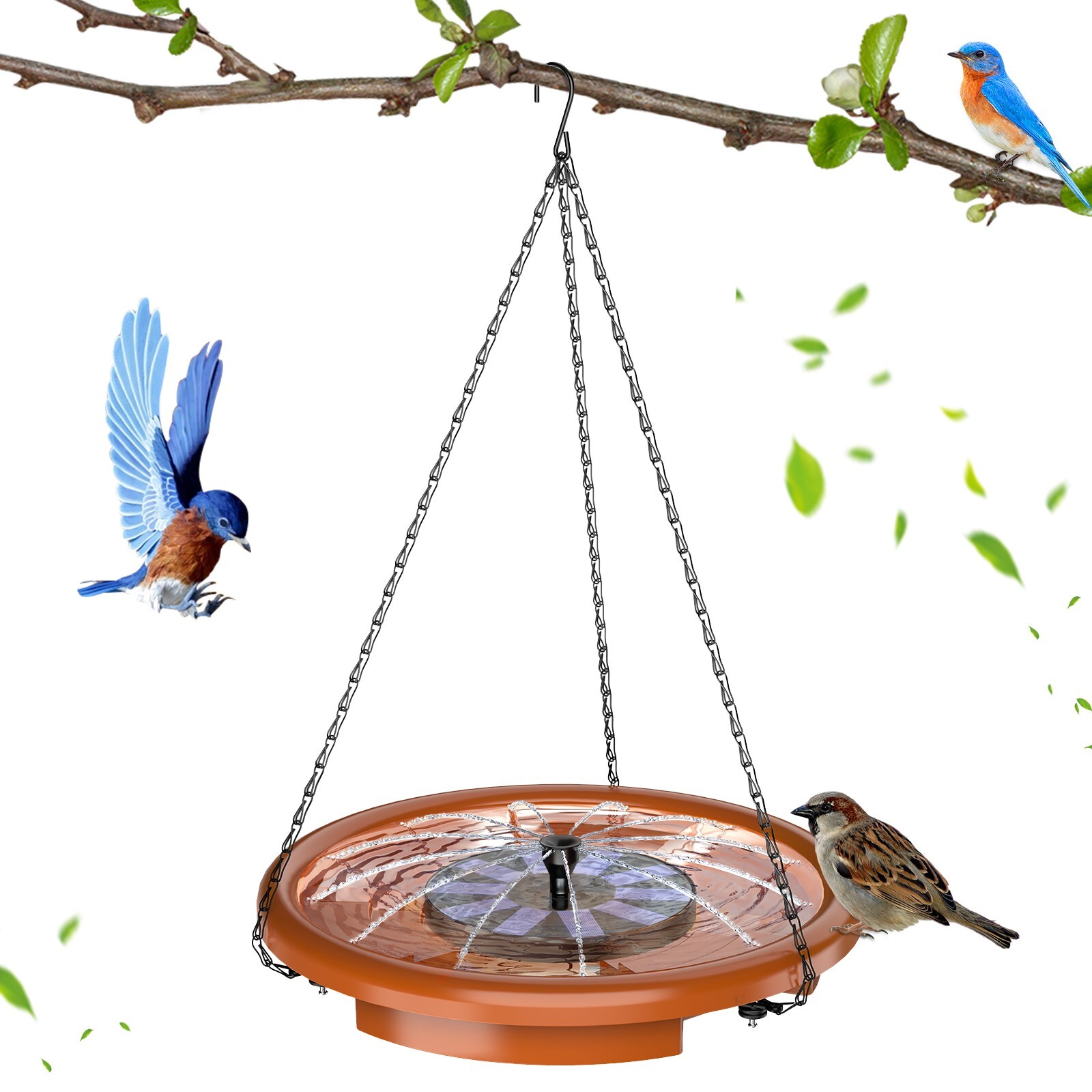Bird Bath Bowl With Solar Water Fountain, Hummingbird Outdoo...
