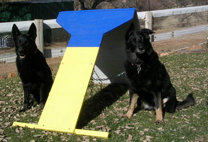 Dog Agility Equipment Contact Trainer A-Frame