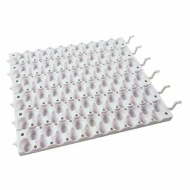 Farm Innovators Quail Rails 120 Small Egg Incubator Turner H...