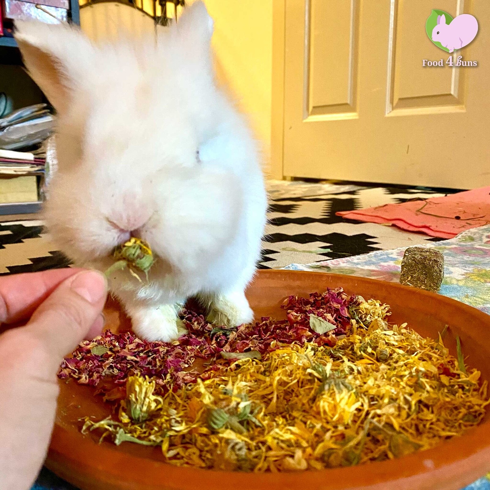 Flower Potpourri Bunny Rabbit Guinea Pig Chinchilla Degu Var...