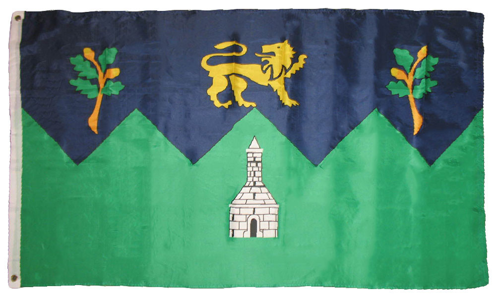 Wicklow County Irish Flag 3x5 Feet Polyester