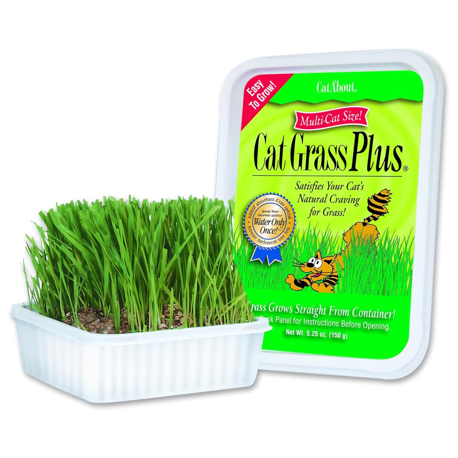 CatGrass Plus Indoor Cat Grass Kit 5.25oz for Healthy Digest...