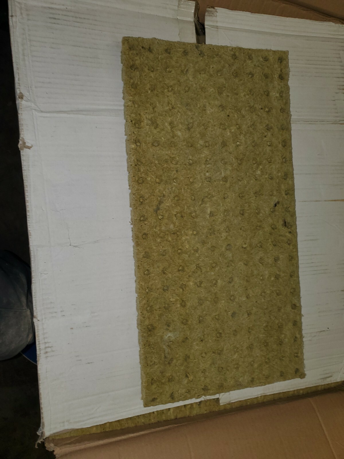 Gordon Rockwool Starter Cubes - Hydroponic Media - 200 Count