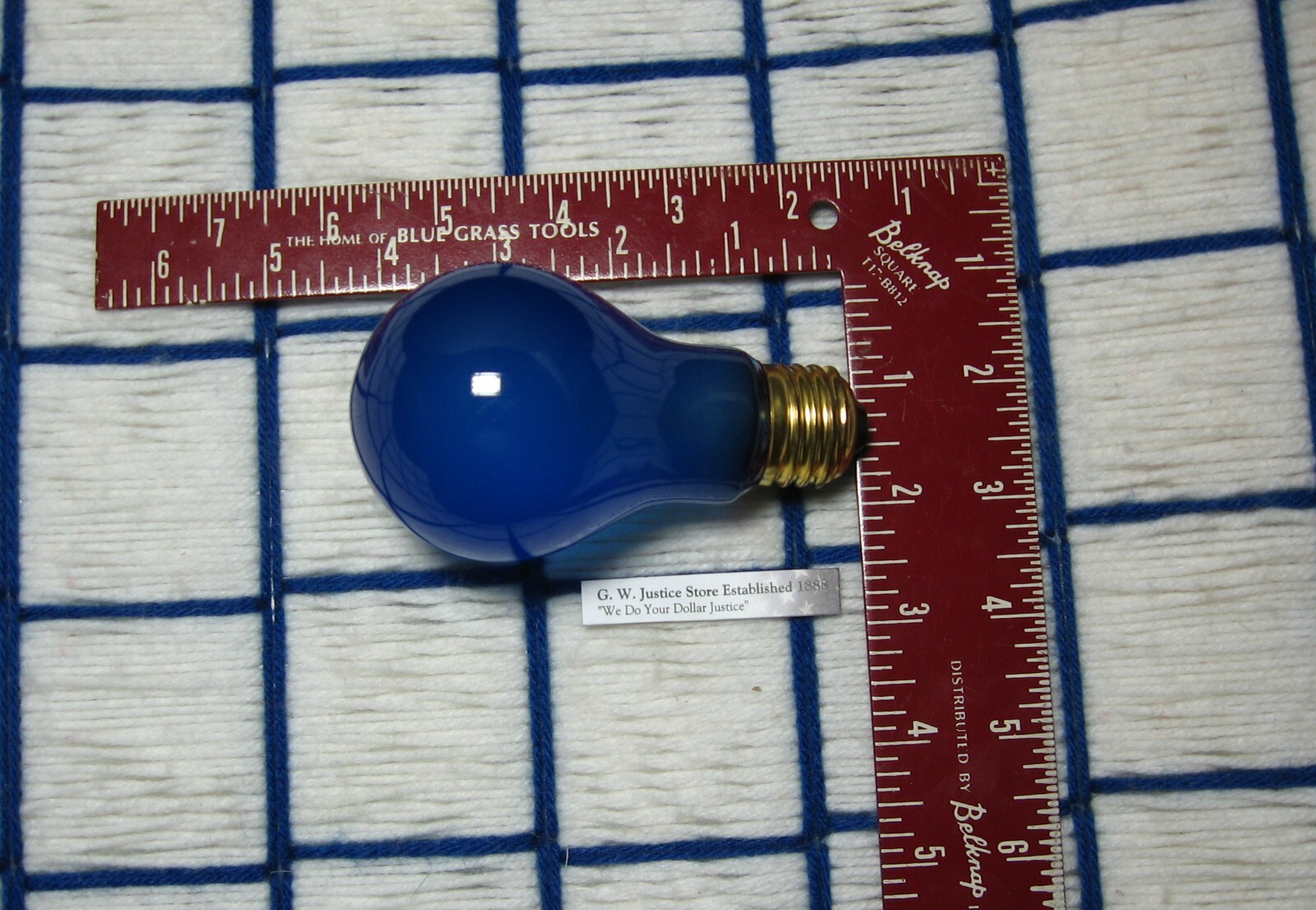 Grow Lite Daylight Blue LED Bulb (60W) - Plant Light Bulb