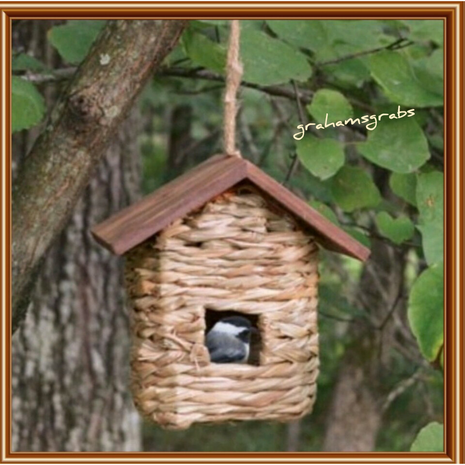 HANGING GRASS ROOSTING POCKET with Roof Birdhouse by Songbir...